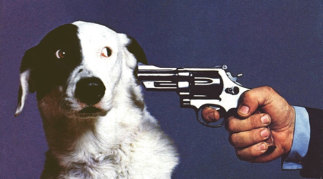 Animal Holding Gun